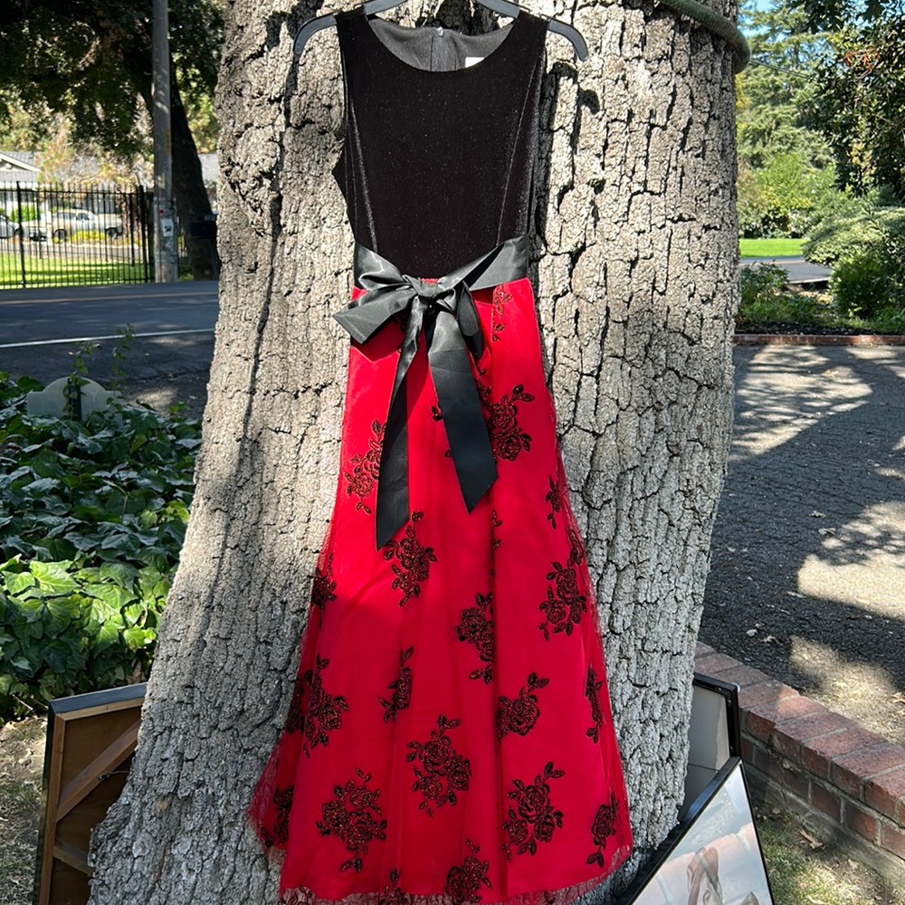 Girls, long holiday dress size 12